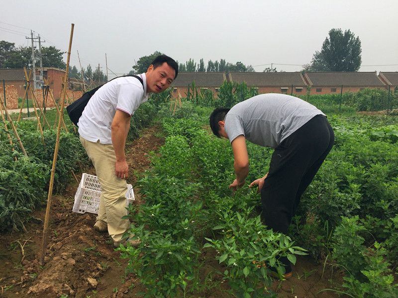好利來(lái)郭總喊您來(lái)摘菜啦！綠色無(wú)公害，放心！