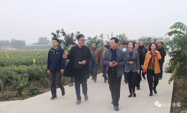 云臺冰菊基地發(fā)生了什么？一批批領導專家團隊前來！